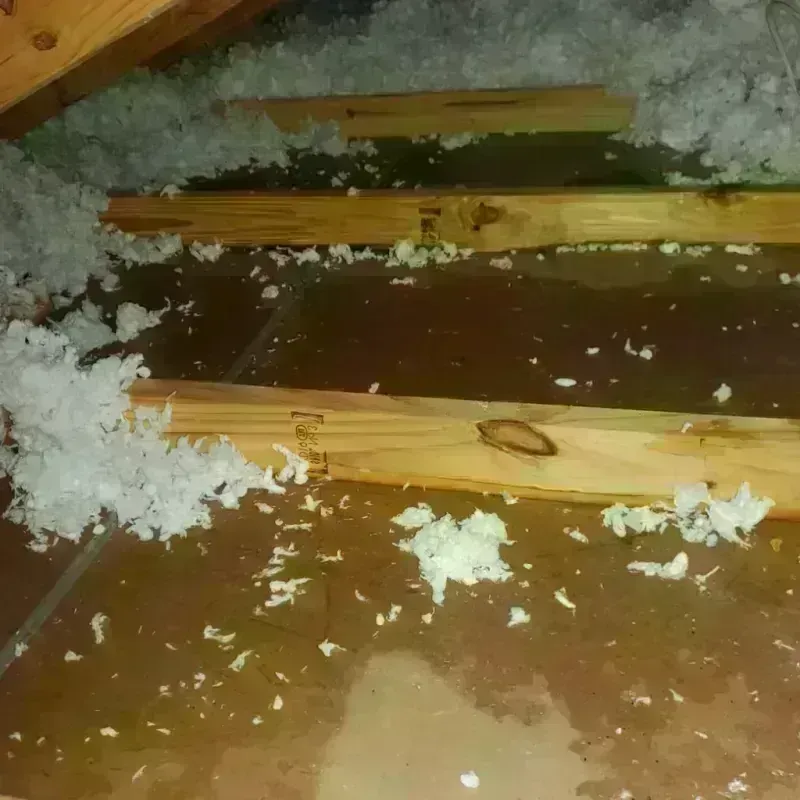 Attic Water Damage in Midway, AR