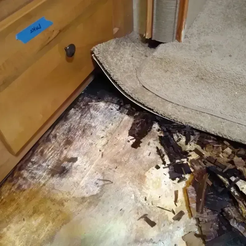 Wood Floor Water Damage in Midway, AR